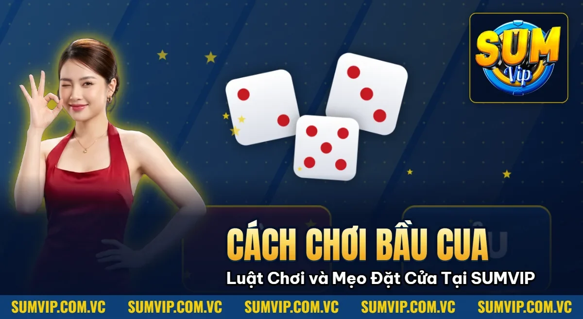 Cách Chơi Bầu Cua – Luật Chơi và Mẹo Đặt Cửa Tại SUMVIP